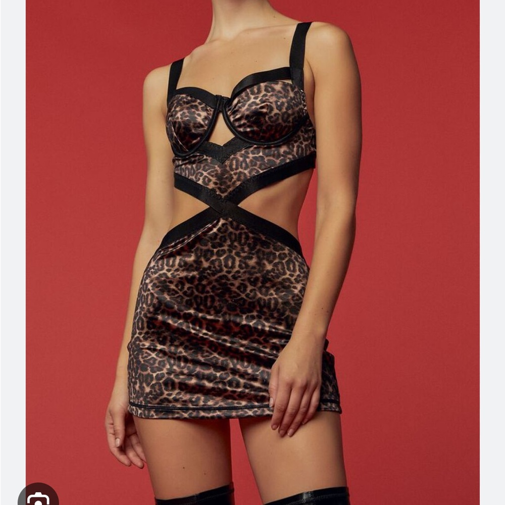 Fredricks of Hollywood dress